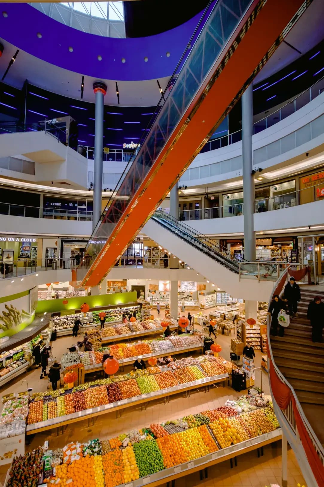 InsightBridge Consumer Insights 4